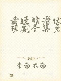 黄晓明潜伏者电视剧全集免费观看