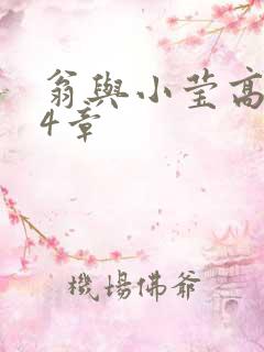 翁与小莹高潮24章