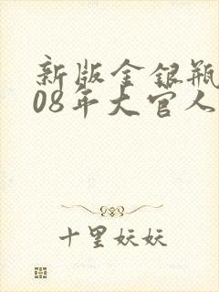 新版金银瓶2008年大官人