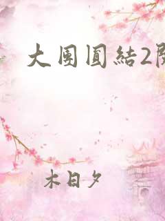 大团圆结2阅读