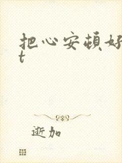 把心安顿好txt
