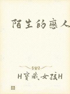 陌生的恋人小说