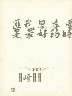 匪我思存 爱你是最好的时光