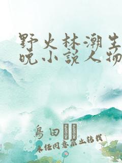 野火林潮生林晚晚小说人物野火