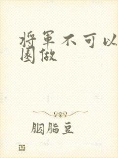 将军不可以在花园做