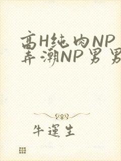 高H纯肉NP 弄潮NP男男