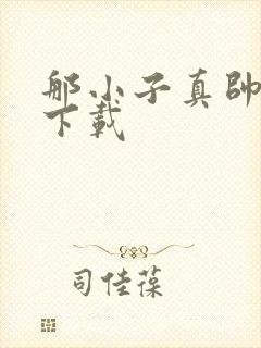 那小子真帅小说下载