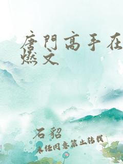 唐门高手在异世燃文