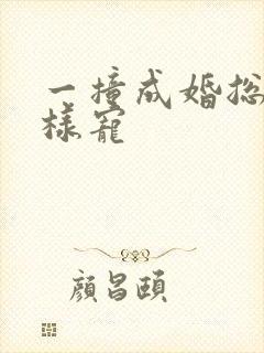 一撞成婚总裁花样宠