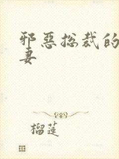 邪恶总裁的娇宠妻