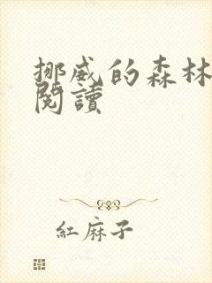 挪威的森林在线阅读