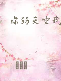你的天空我的城