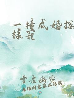 一撞成婚总裁花样宠