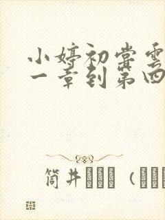 小婷初尝云雨第一章到第四章