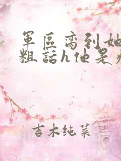 军区脔到她哭h粗话h他是疯批