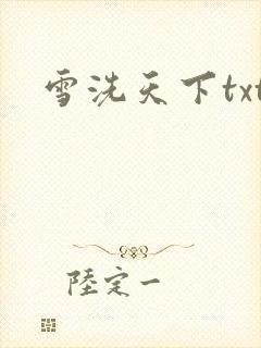 雪洗天下txt