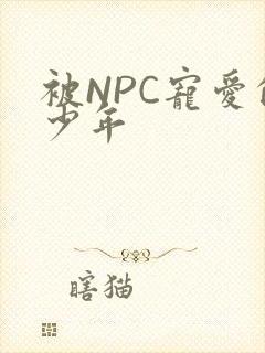 被NPC宠爱的少年