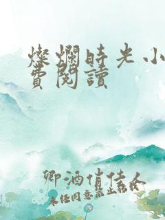 灿烂时光小说免费阅读