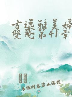 方逸雅美妇厨房双飞第41章