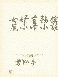 女婿有劲枪枪到底小峰小说