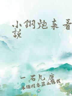 小钢炮来看我小说