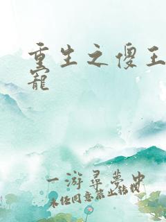 重生之傻王心尖宠