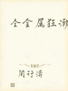 全金属狂潮小说