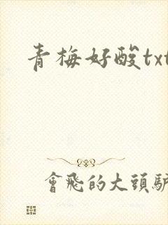 青梅好酸txt