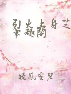 引火上身芝麻糖笔趣阁