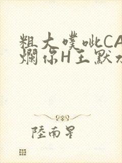 粗大噗呲CAO烂你H王默水王子