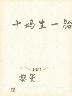 十妈生一胎