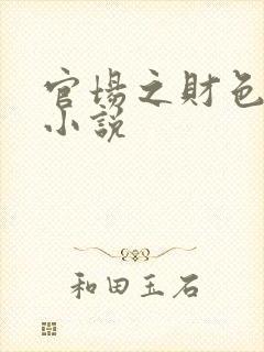 官场之财色诱人小说