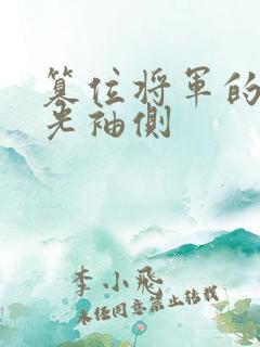 篡位将军的白月光袖侧