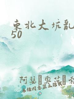 东北大坑乱1—50