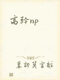 高干np