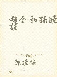 赵全和孙晓云小说