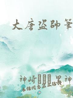 大唐盗帅笔趣阁