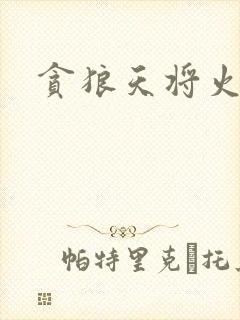 贪狼天将火影行