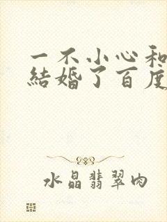 一不小心和醋精结婚了百度云