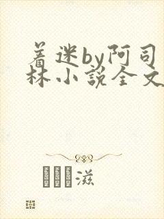 着迷by阿司匹林小说全文免费阅读