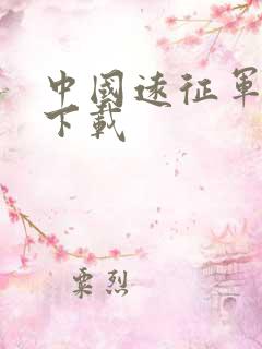 中国远征军全集下载