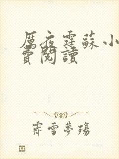 厉夜霆苏小汐免费阅读