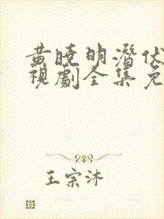 黄晓明潜伏者电视剧全集免费观看