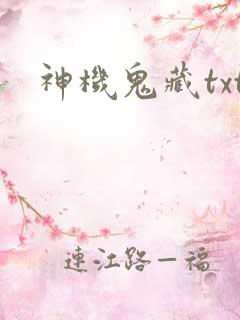 神机鬼藏txt
