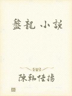 盘龙 小说