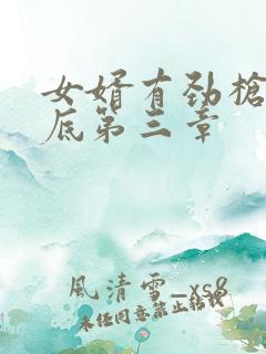 女婿有劲枪枪到底第三章