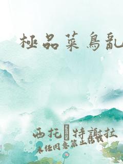 极品菜鸟乱江湖