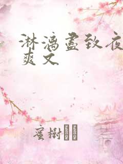 淋漓尽致夜晚小爽文