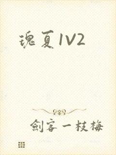 瑰夏1V2