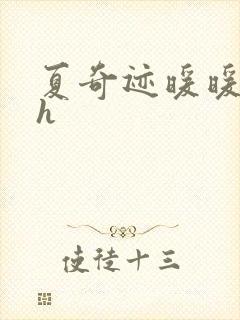 夏奇迹暖暖快穿h